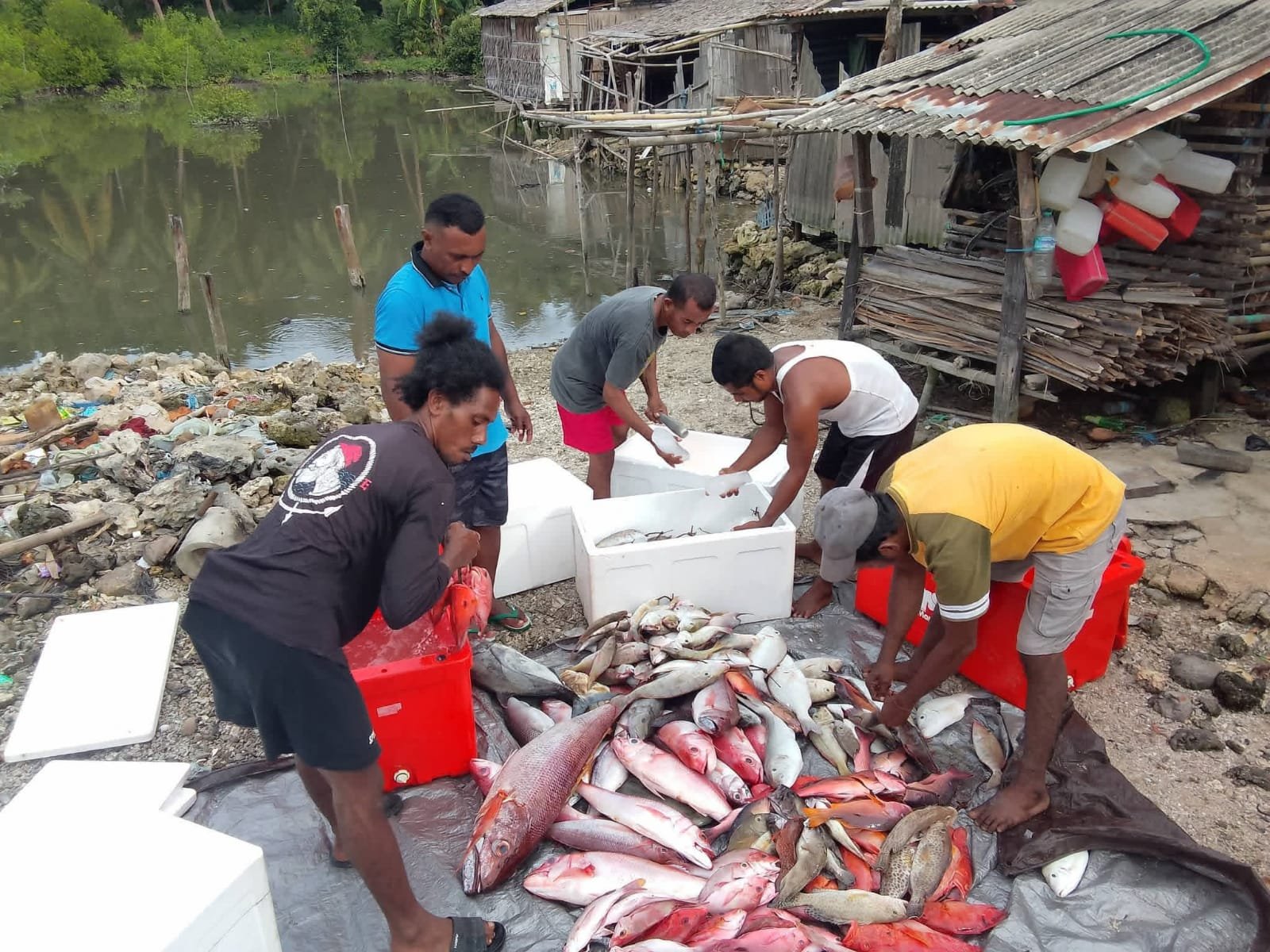 HASIL TANGKAP NELAYAN